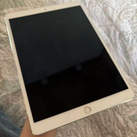 iPad Pro 10.5インチ 64GB Wi-Fi シルバー 動作確認済
