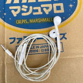 Apple EarPods 3.5mmプラグ マイク付き 有線イヤホン
