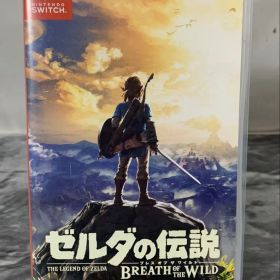 Nintendo Switch ゼルダの伝説 ブレス オブ ザ ワイルド 841