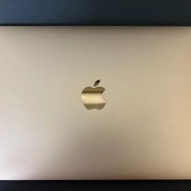 MacBook Retina 12インチ Early 2016 A1534