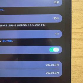 Apple iPad Pro 11インチ、m4チップ 本体