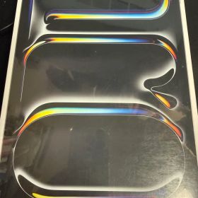 Apple 11インチ iPad Pro wifi 2TB (M4)