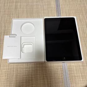Apple iPad 本体