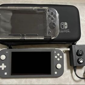 Nintendo Switch Light 本体 グレー 充電ケーブル ケース等