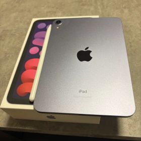 Apple iPad mini 本体