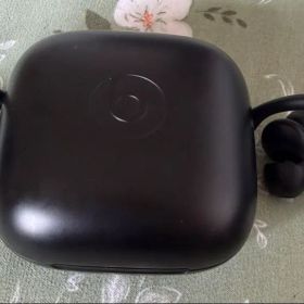 Beats ワイヤレスPowerbeats Pro)イヤホン 本体