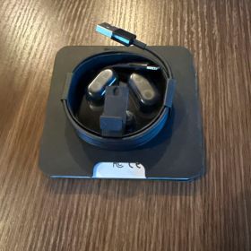 Beats Powerbeats Pro グレイシャーブルー 動作確認済み