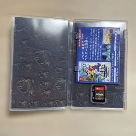 引*分様 ゼルダの伝説 ティアーズオブザキングダム