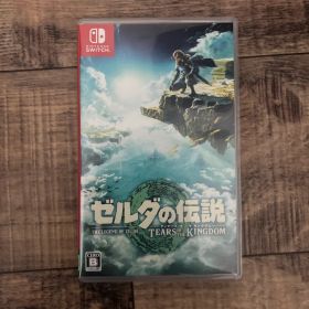ゼルダの伝説 ティアーズ オブ ザ キングダム Switch