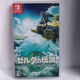 ゼルダの伝説 ティアーズオブザキングダム Switch版