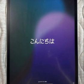 【iPad Pro12.9第5世代1TB】シルバー Wi-Fi+セルラーモデル