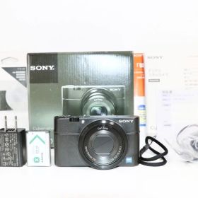 ■ 美品 ■ ソニー SONY DSC-RX100 初代 《元箱付・付属品多数》
