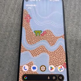 Google pixel5 Evolution X Android 16 ソータ