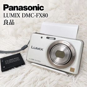 【良品✨】Panasonic LUMIX DMC-FX80 デジカメ コンデジ