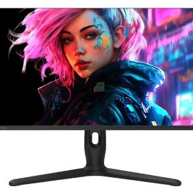 レグザ(Regza) REGZA RM-G278R 27V型 4K 量子ドット液晶モニター Fast IPSパネル採用 160Hz 1ms(GTG) AdaptiveSync対応 VESA DisplayHDR 400 ブラック(RM-G278R)