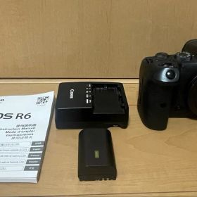 Canon EOS R6 ボディ 充電器 バッテリー ×2 説明書