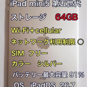iPad mini5 第5世代 64GB Cellular SIMフリー