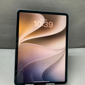 美品 国内版 SIMフリー iPad Pro 11インチ 第2世代 128GB Wi-Fi +Cellular版 スペースグレイ色