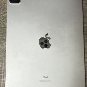 iPad Pro 11インチ 第2世代 本体