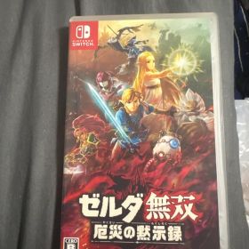 Nintendo Switch ゼルダ無双 厄災の黙示録