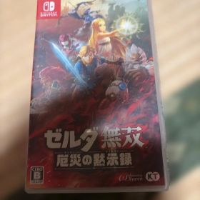 Nintendo Switch ゼルダ無双 厄災の黙示録
