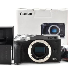 キャノン Canon EOS M6 Mark II ボディ 元箱付き 044