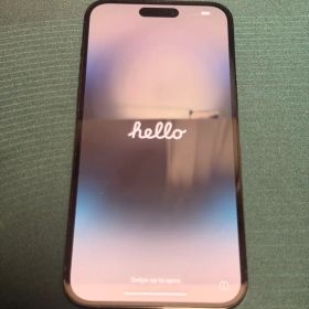 iPhone 14 Pro Max 256GB デュアルSIM シャッター音なし