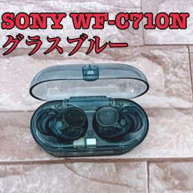 SONY ワイヤレスイヤホン 本体 SONY WF-C710N