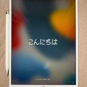 良品 iPad pro 10.5 256gb Apple Pencil セット