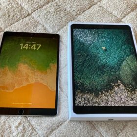 iPad Pro 10.5インチ 256GB WiFi モデル A1701 本体