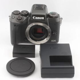 Canon EOS M5 ボディ ミラーレス一眼 EF-Mマウント 動作確認済 キヤノン #S00228