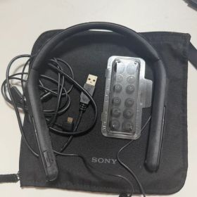 SONY WI-1000X ワイヤレスノイズキャンセリングイヤホン
