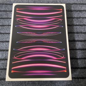 53 iPad Pro 11インチ 4世代 M2チップ256GB SIMフリー