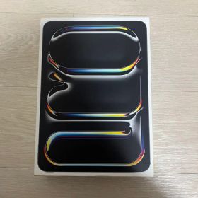 Apple 11インチ iPad Pro (M4) 512GB