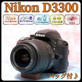 ニコン D3300★手ブレ補正レンズで簡単撮影★S数少★軽量＆コンパクト