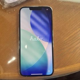 Apple iPhone 13 Pro 本体