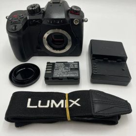 【動作確認】Panasonic LUMIX DC-GH5M2 ボディ