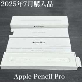2025年7月購入 付属品 Apple Pencil Pro MX2D3ZA/A