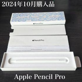 2024年10月購入品 付属品有り Apple Pencil Pro