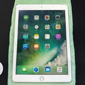 Apple iPad 第5世代 本体 32GB