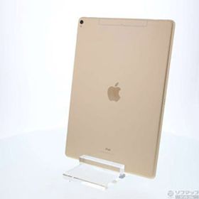 〔中古品（難あり）〕 iPad Pro 12.9インチ 第2世代 256GB ゴールド MPA62J／A SIMフリー ［12.9インチ液晶／A10X-Fusion］〔中古品（難あり）〕 iPad Pro 12.9インチ 第2世代 256GB ゴールド MPA62J／A SIMフリー ［12.9インチ液晶／A10X-Fusion］