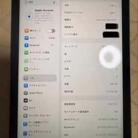Apple iPad mini (第6世代) 256GB 本体 セルラーモデル