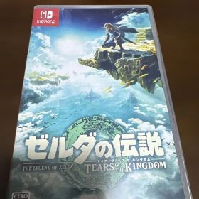 ゼルダの伝説 ティアーズ オブ ザ キングダム