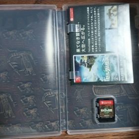 ゼルダの伝説 ティアーズ オブ ザ キングダム Switch