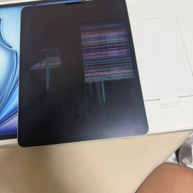 iPad PRO 12.9インチ（第5世代）256GB SIM フリー シルバー