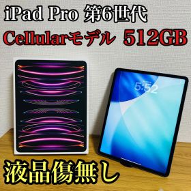 iPad Pro 第6世代 12.9インチ 512GB SIMフリー