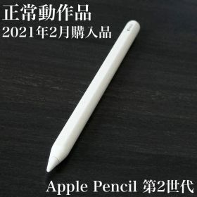 正常動作品 Apple Pencil 第2世代 MU8F2J/A s4