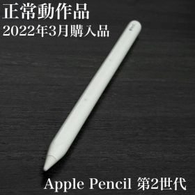 正常動作品 Apple Pencil 第2世代 MU8F2J/A s7