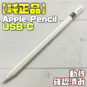 動作確認済み！【純正品】Apple Pencil USB-C 430
