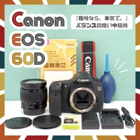 ☘️高画質&簡単操作✨️ Canon EOS 60D 一眼レフ ショット数少